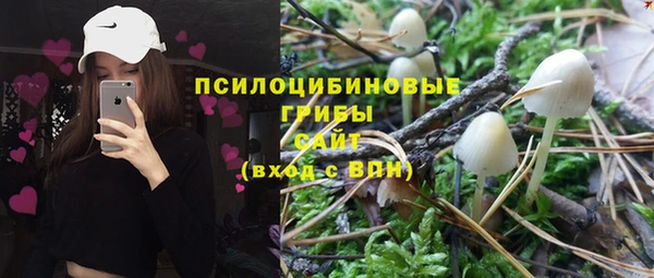 ешки Медногорск