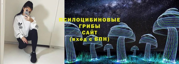 ешки Медногорск
