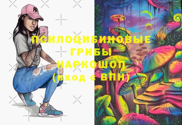 ешки Медногорск