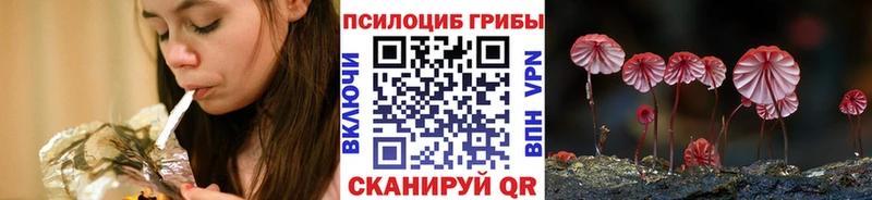 Галлюциногенные грибы Magic Shrooms  Купить закладки  Шиханы 